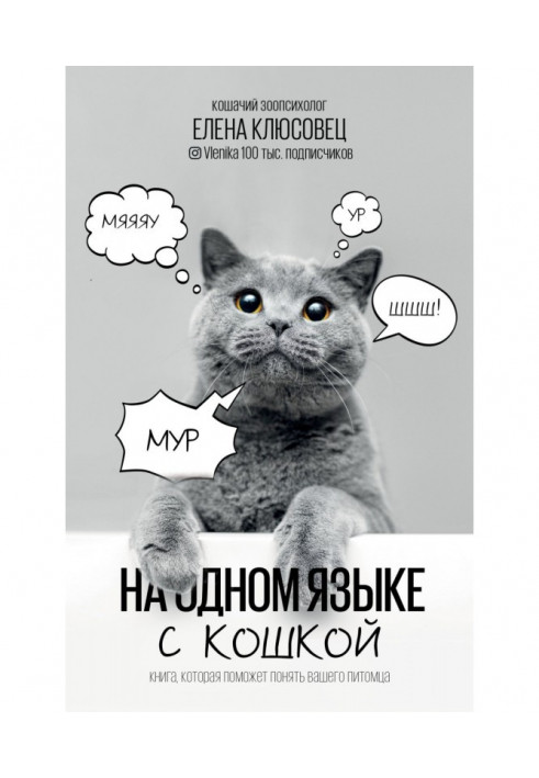 In one language with a lady-cat