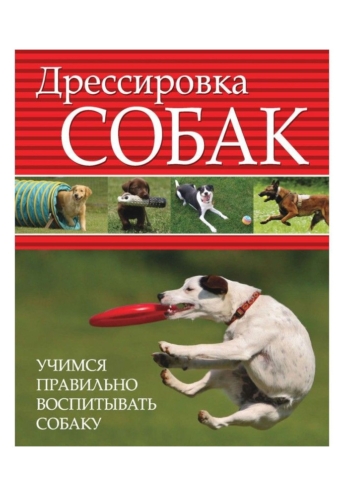 Дресирування собак. Вчимося правильно виховувати собаку