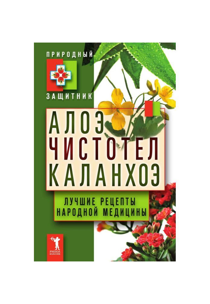 Алое, чистотіл, каланхое. Кращі рецепти народної медицини