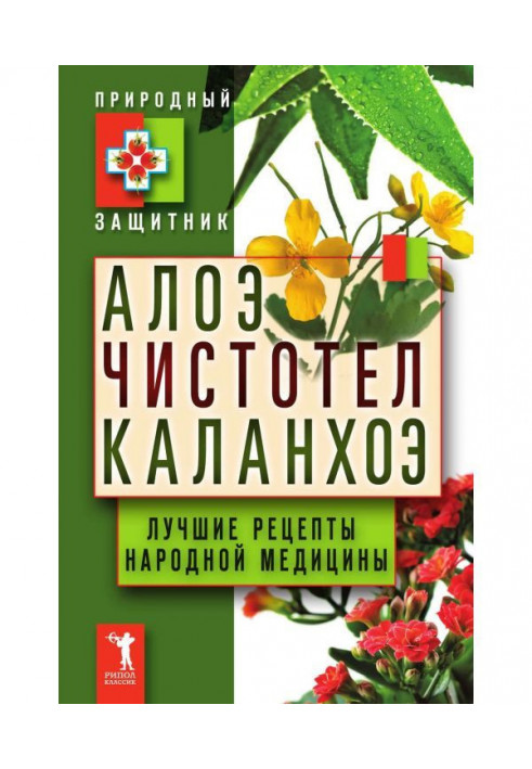 Алое, чистотіл, каланхое. Кращі рецепти народної медицини