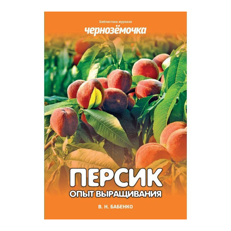 Peach. Experience of growing