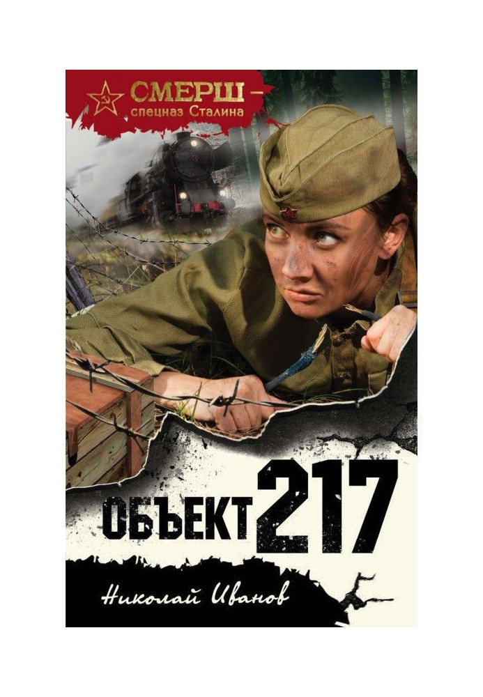 Object 217