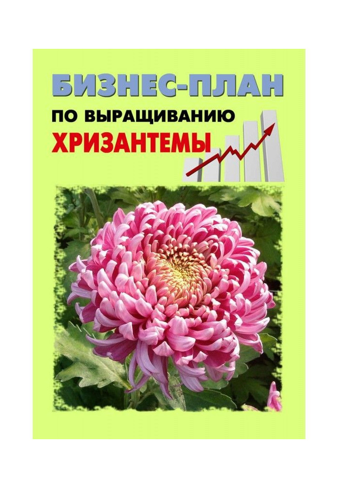 Businessplan on growing of chrysanthemum