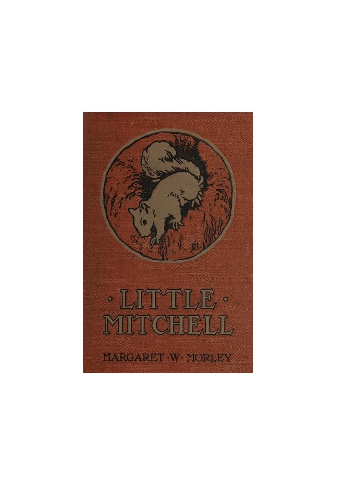 Little Mitchell: The Story of a Mountain Squirrel