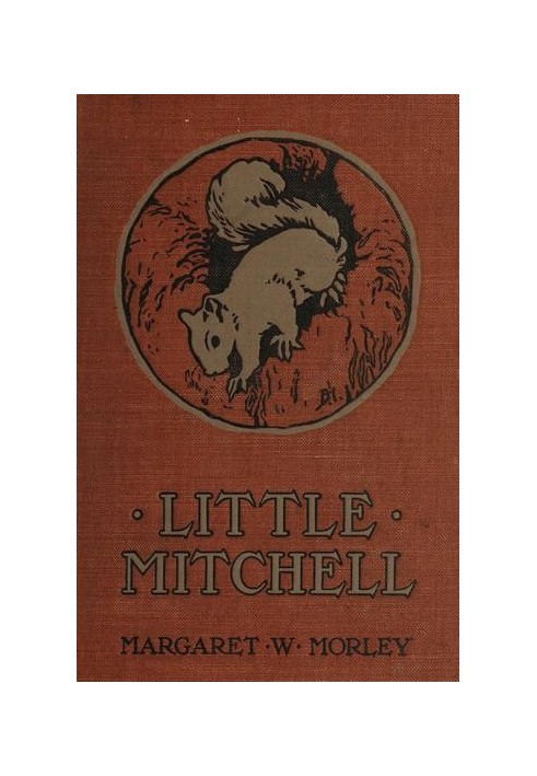 Little Mitchell: The Story of a Mountain Squirrel