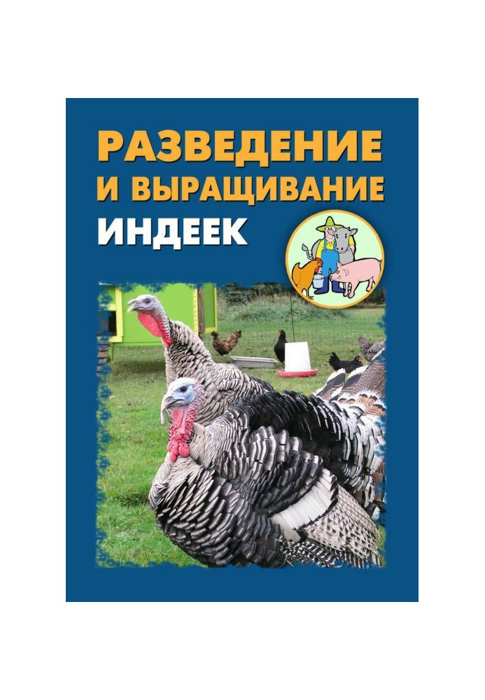 Розведення і вирощування індичок