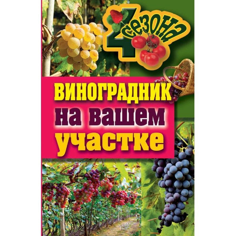 Vineyard on your area