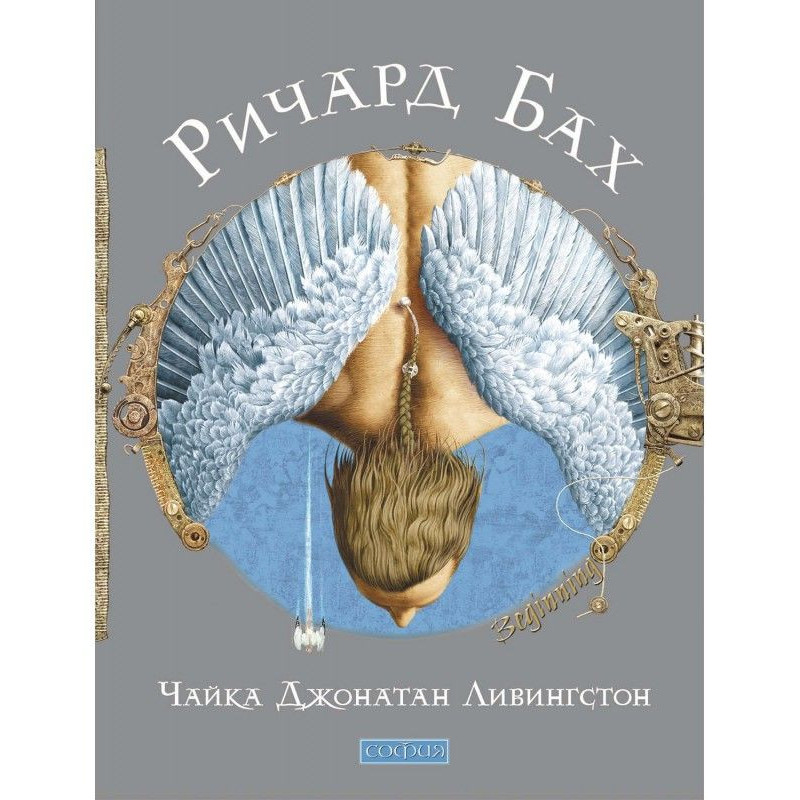 Seagull Jonathan Livingston