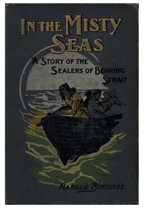 In the Misty Seas: A Story of the Sealers of Behring Strait