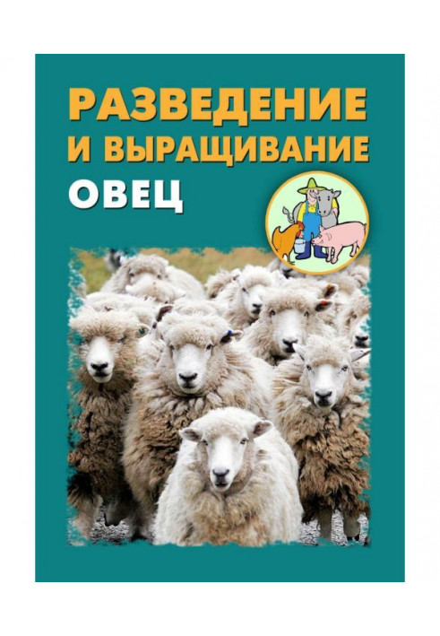 Розведення і вирощування овець