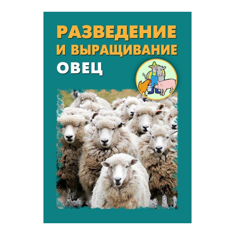 Розведення і вирощування овець