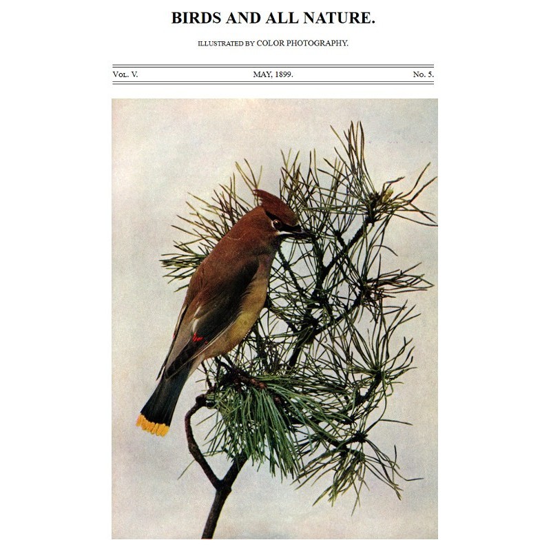 Birds and All Nature, Vol....