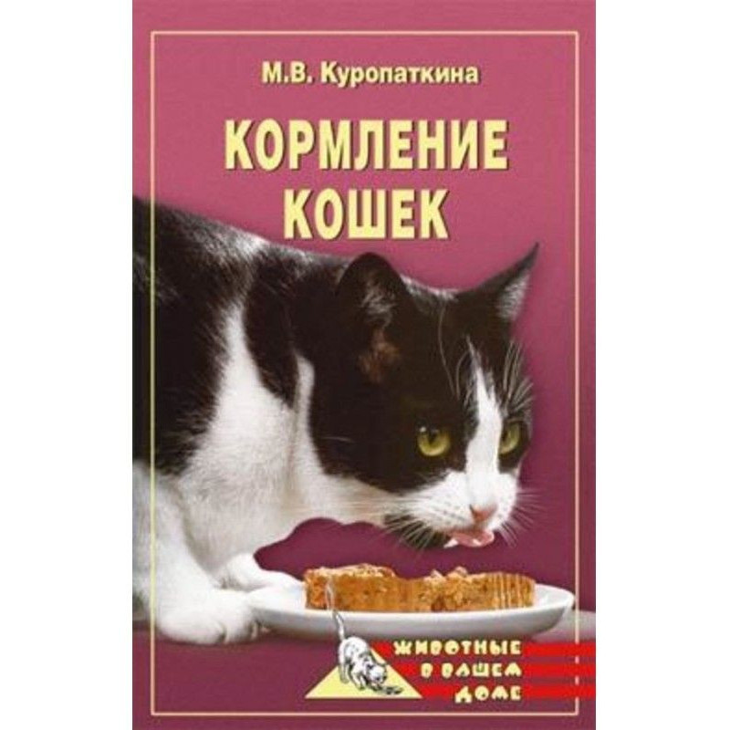 Feeding of lady-cats