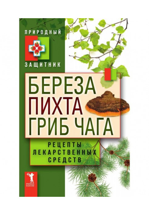 Birch, silver fir, mushroom of чага. Recipes of medicinal facilities