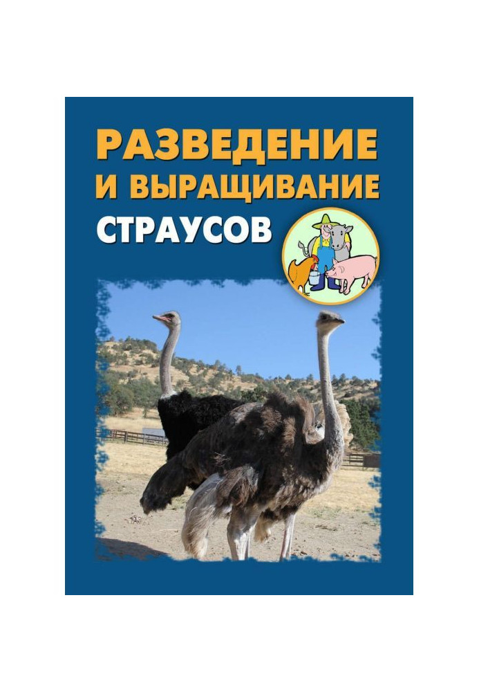 Breeding and growing of ostriches