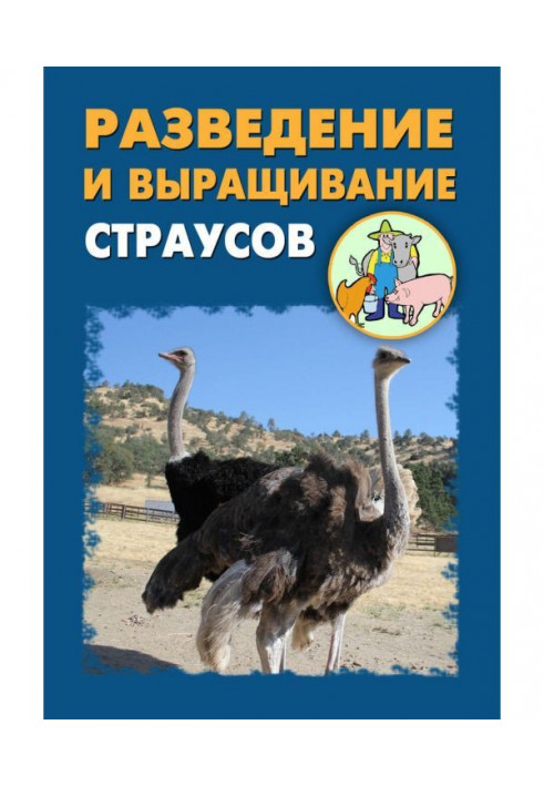 Breeding and growing of ostriches