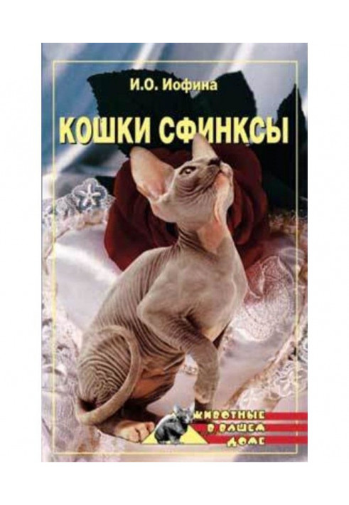 Кошки – сфинксы