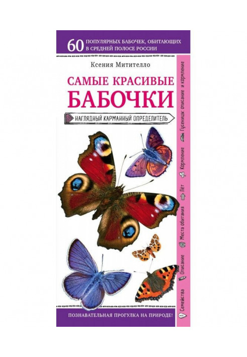 Метелики. Наочний кишеньковий визначник