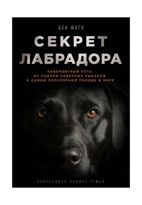 Секрет лабрадора. Невероятный путь от собаки северных рыбаков к самой популярной породе в мире