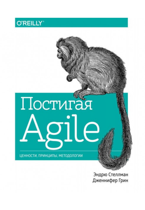 Осягаючи Agile