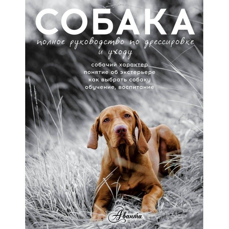 Cобака. Complete guidance...