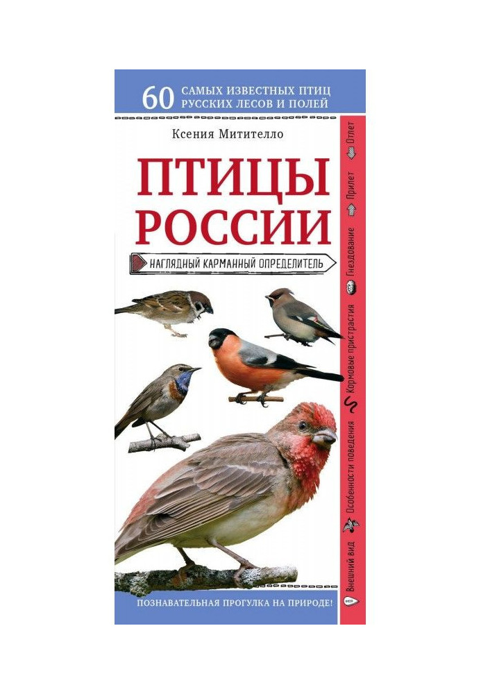 Птахи Росії. Наочний кишеньковий визначник