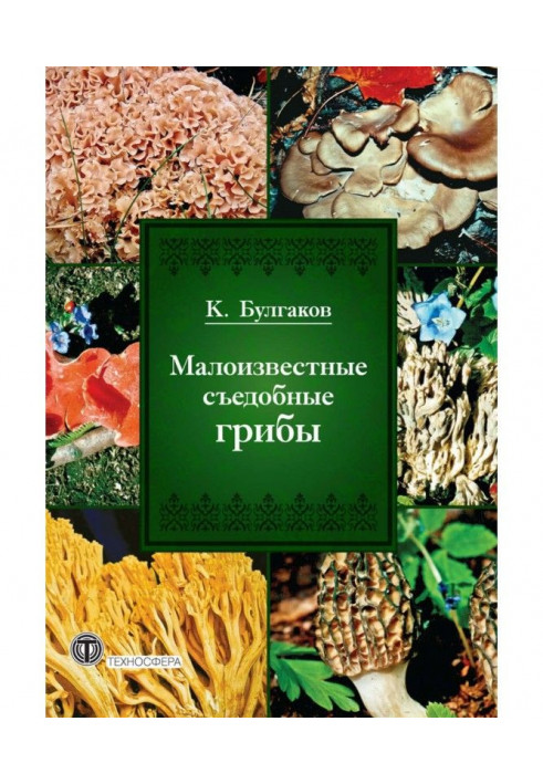 Маловідомі їстівні гриби