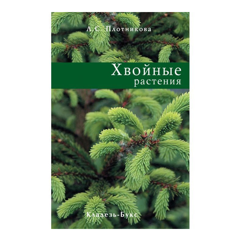 Coniferous plants