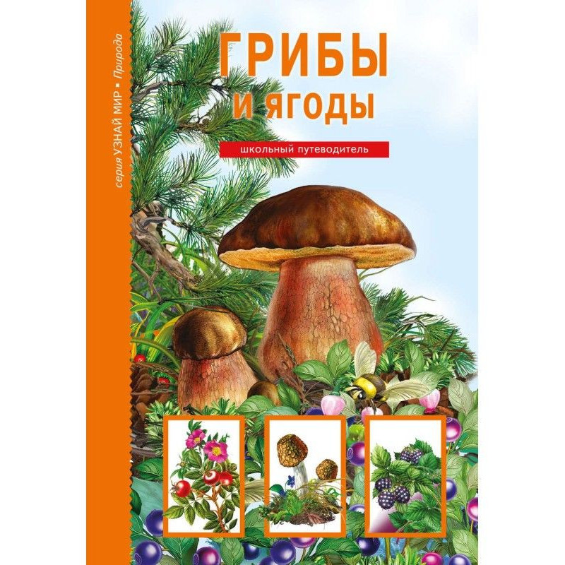 Mushrooms and berries