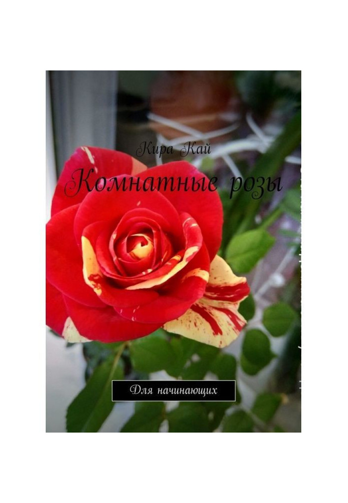 Room roses