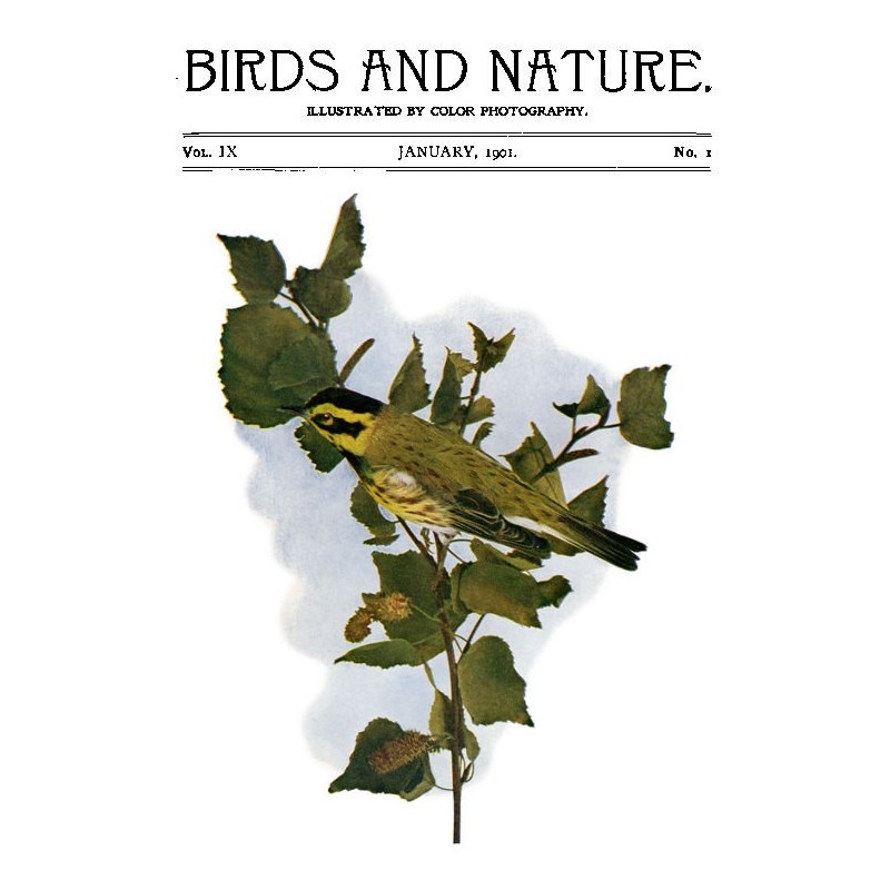 Птицы и природа Том. 09 № 1...