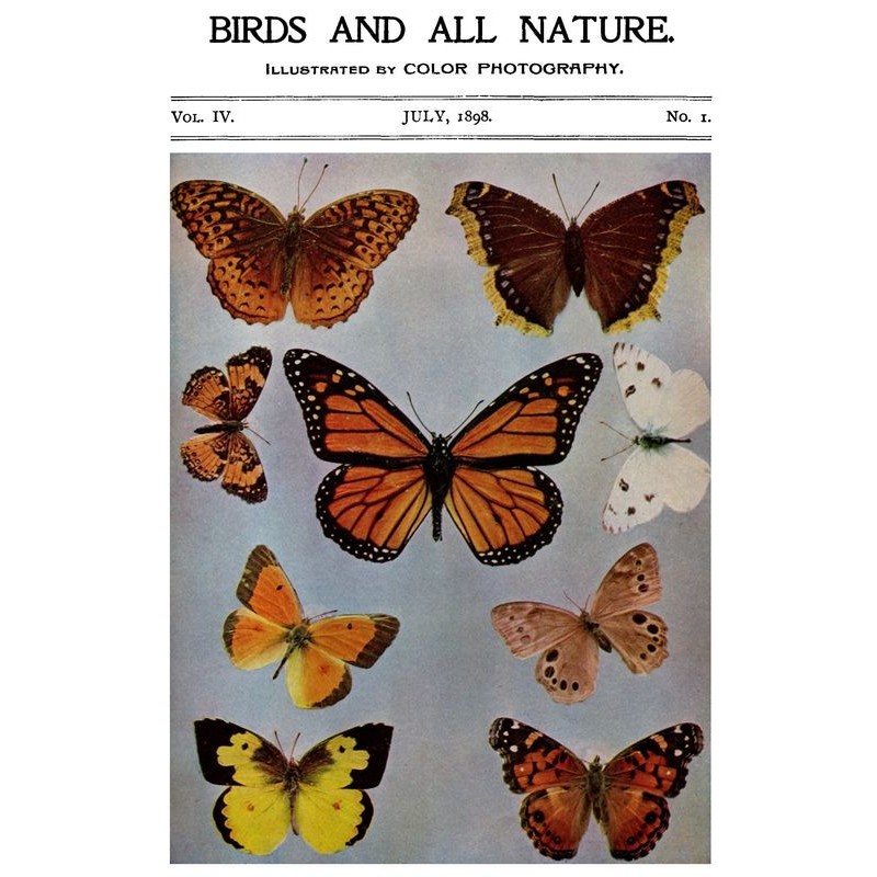 Birds and All Nature, Vol....