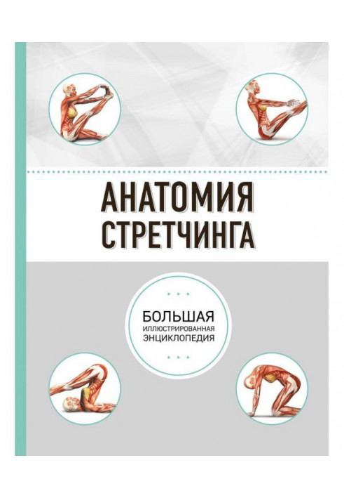 Anatomy of Stretching