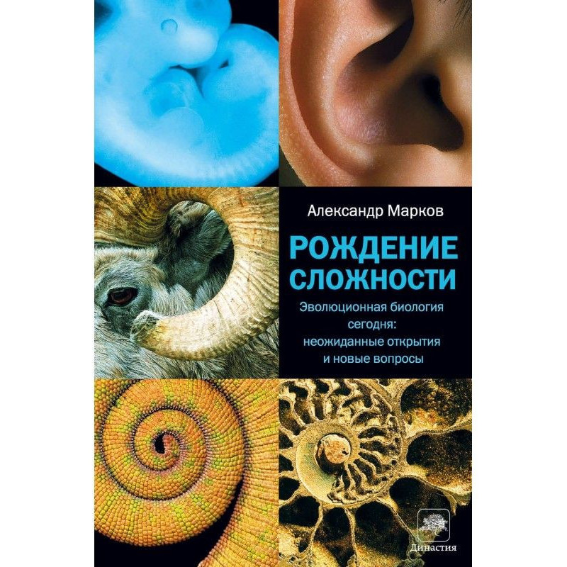 Народження складності....