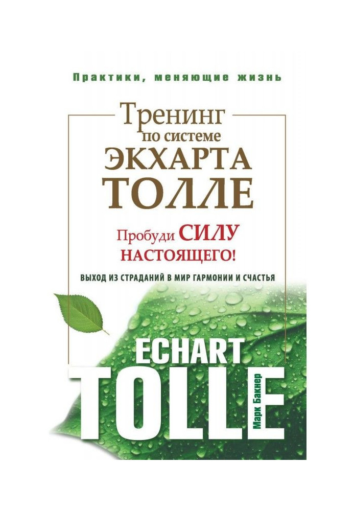 Тренінг за системою Экхарта Толле. Пробуди силу сьогодення! Вихід із страждань у світ гармонії і щастя