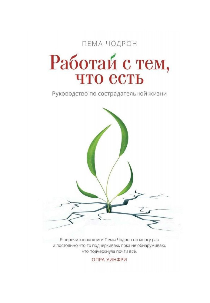 Работай с тем, что есть. Руководство по сострадательной жизни