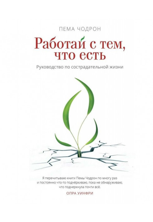 Работай с тем, что есть. Руководство по сострадательной жизни