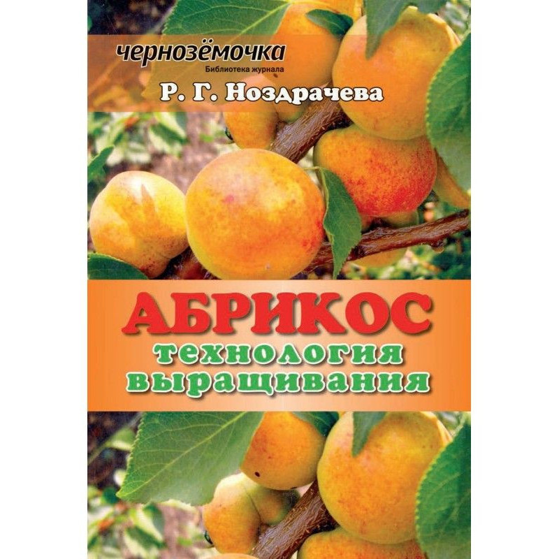 Apricot. Technology of growing