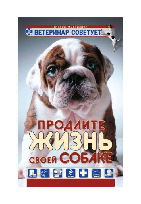 A veterinary advises. Prolong life to the dog