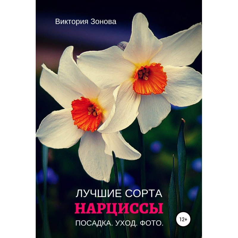 Нарциси. Найкращі сорти