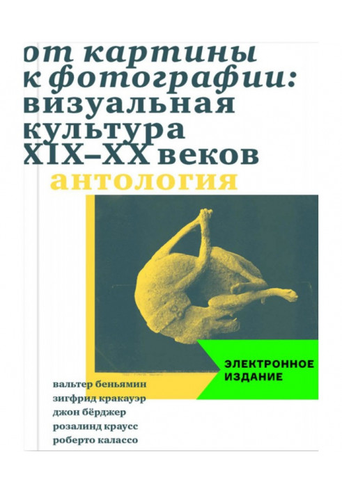 От картины к фотографии: визуальная культура XIX-XX веков