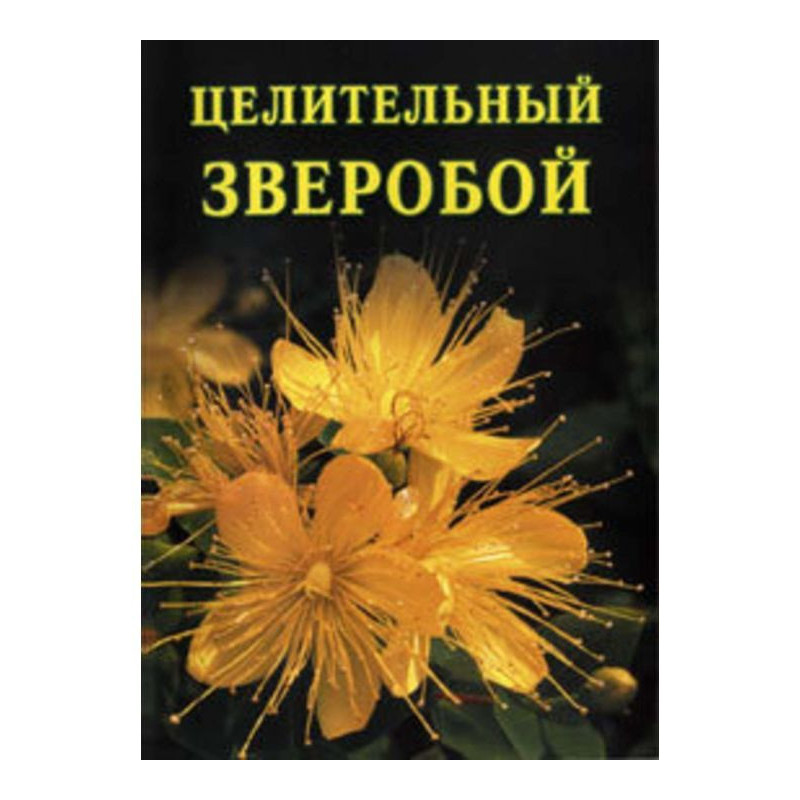 Целительный зверобой