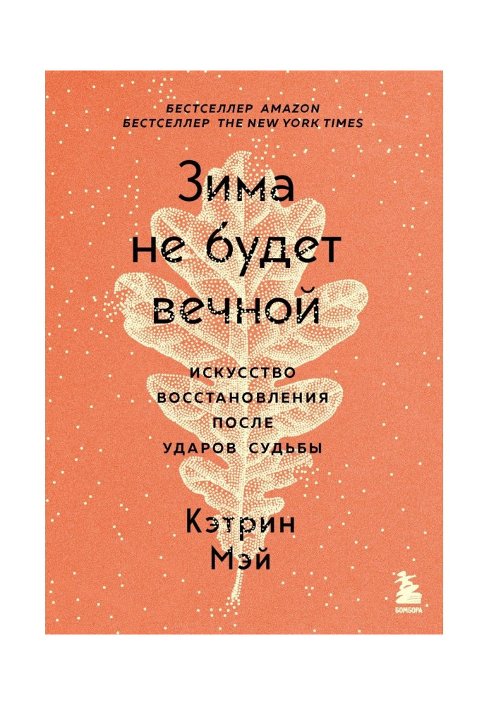 Зима не буде вічною. Мистецтво відновлення після ударів долі