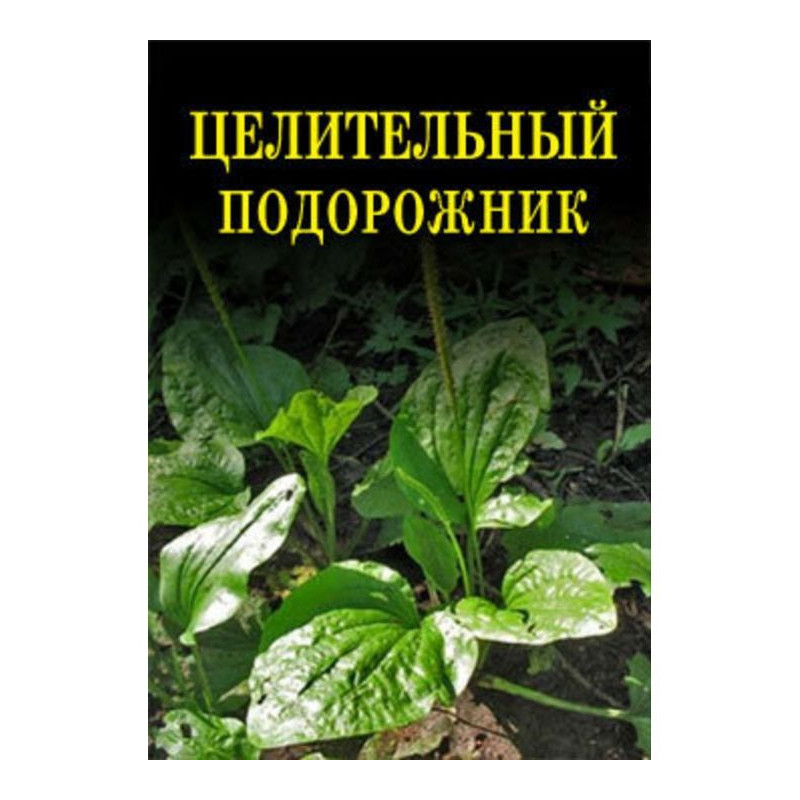Целительный подорожник