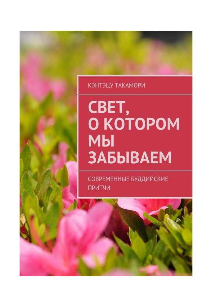 Світло, про яке ми забуваємо. Сучасні буддійські притчі