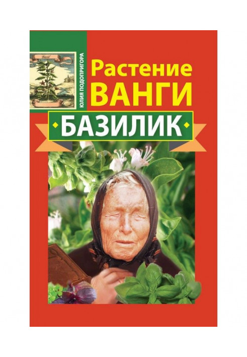 Растение Ванги. Базилик