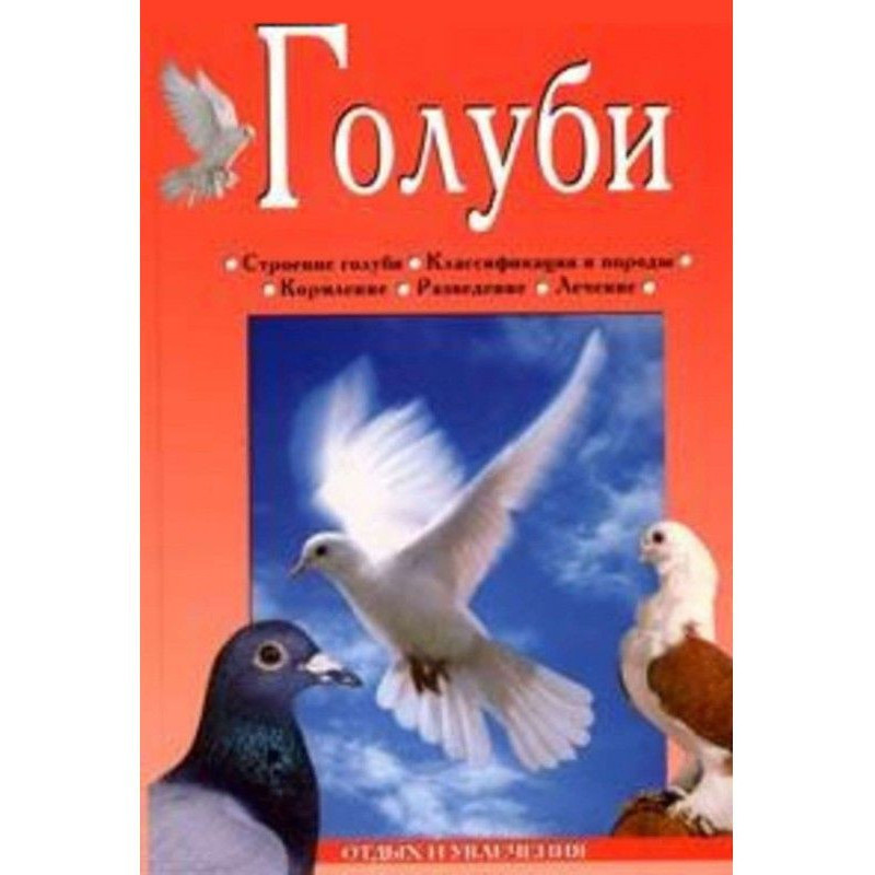 Голуби