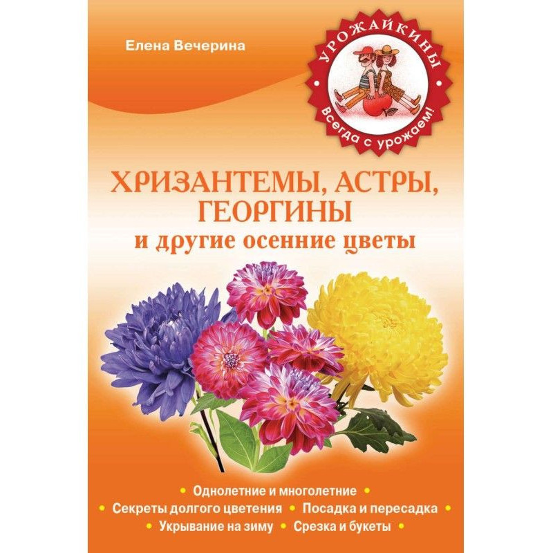 Осінні квіти: хризантеми,...
