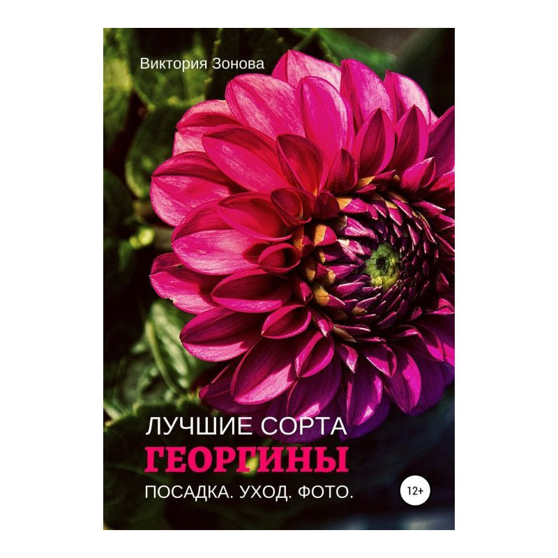 Жоржини. Найкращі сорти
