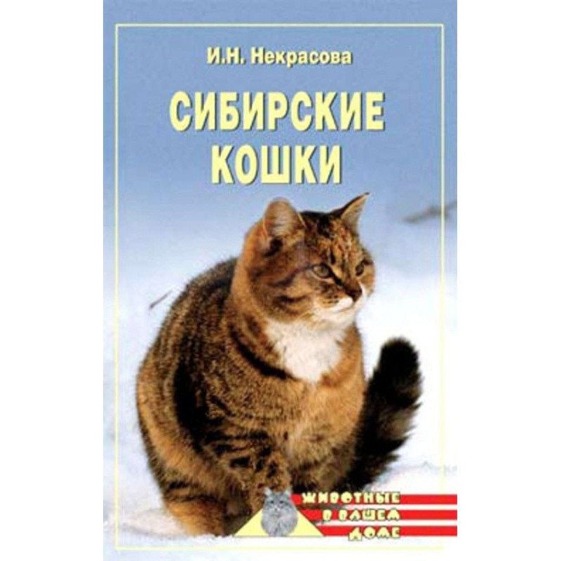 Сибирские кошки